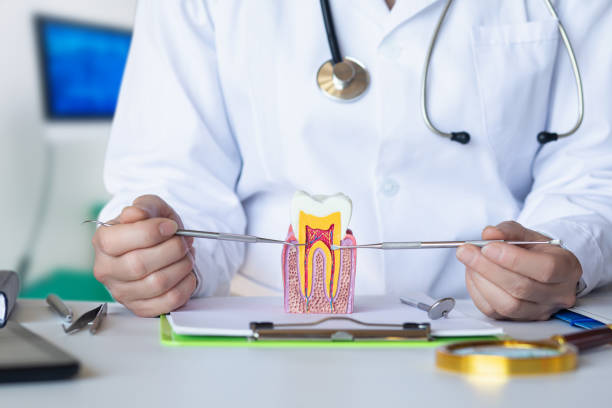 Best Cracked Tooth Emergency Dentist  in Napoleon, OH